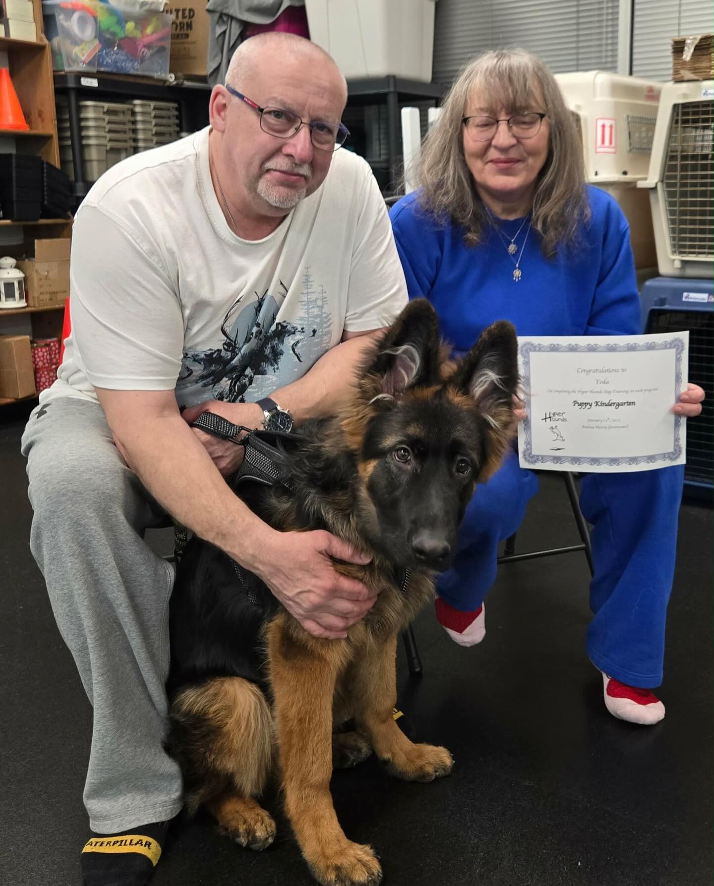 Hyper Hounds Dog Training... - Hyper Hounds Dog Training