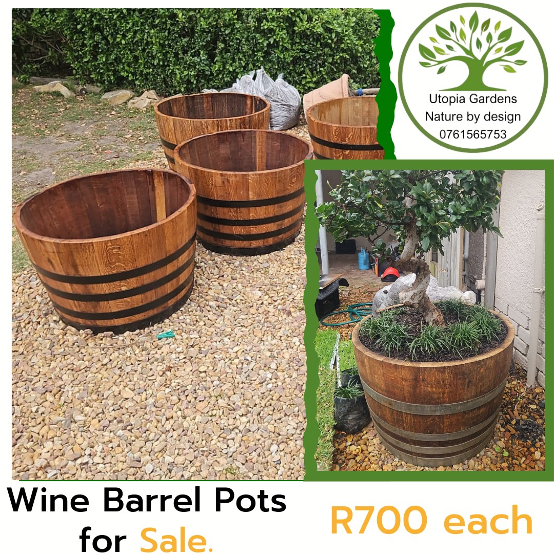 Utopia Gardens - Utopia Gardens added a new photo.