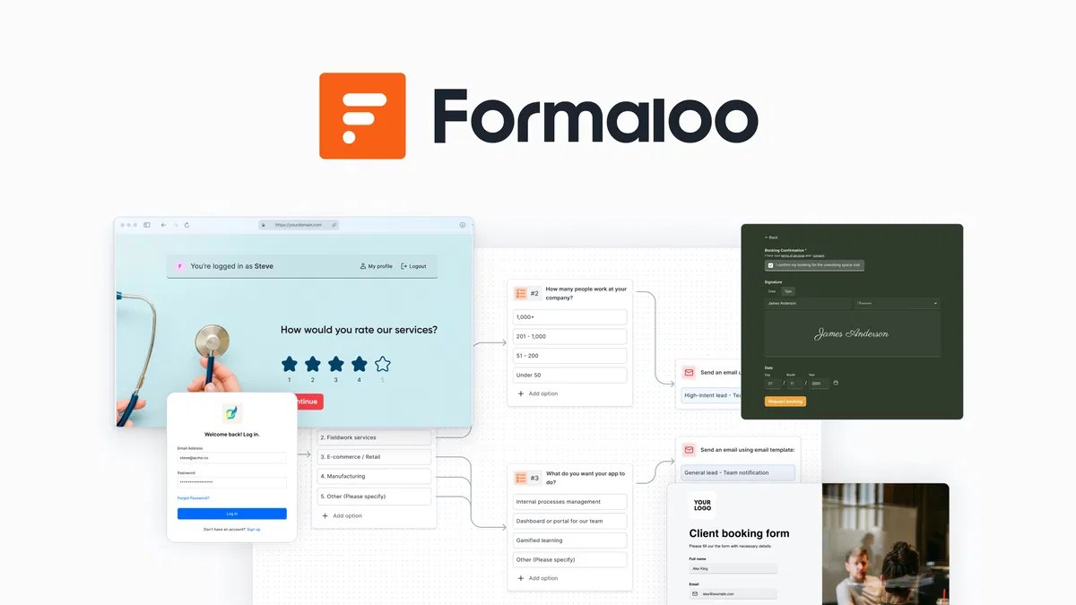 Pani.Work - 🚀 Black Friday LTD: Formaloo – Build AI Workflow Forms ...