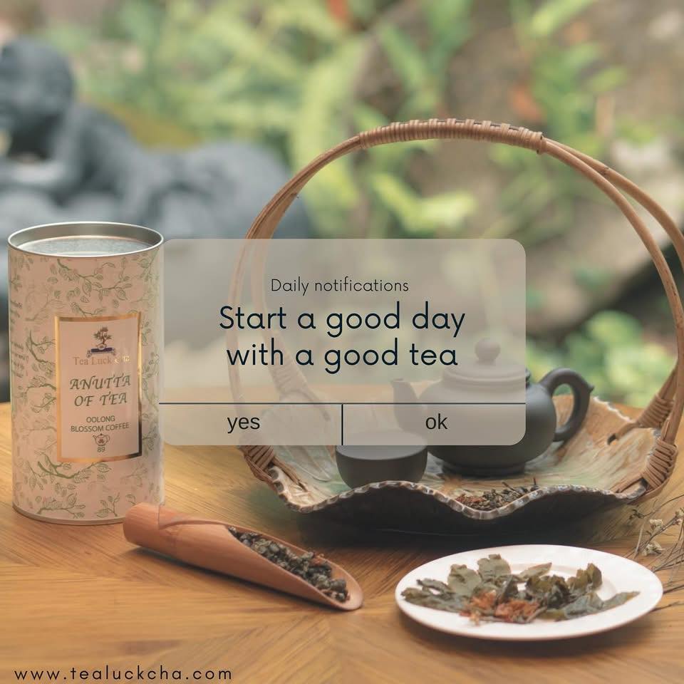 Asian School of Tea -... - Asian School of Tea - Thailand