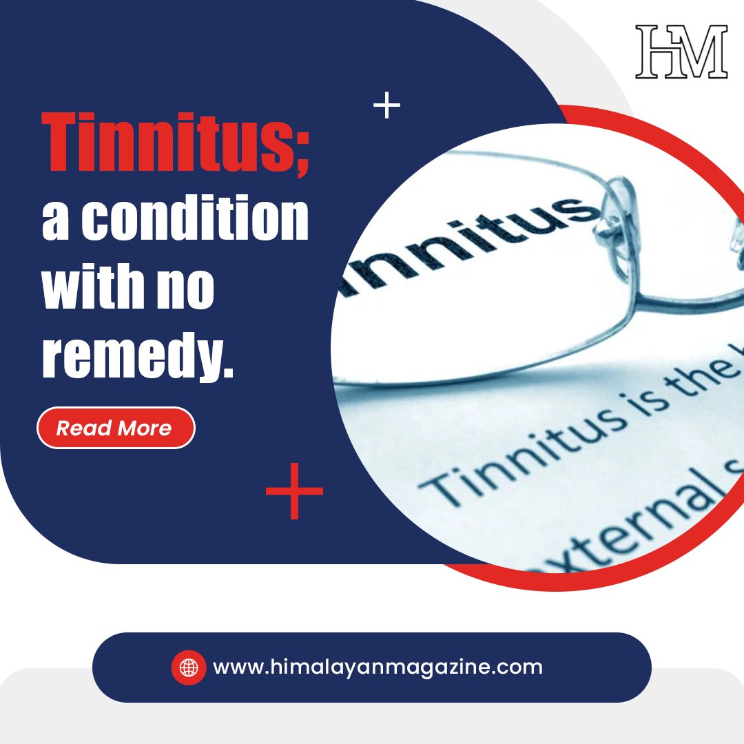 What happened to the Melmeotronics inhibitor for tinnitus relief?