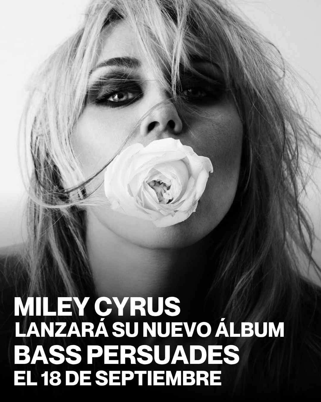 mileyページ