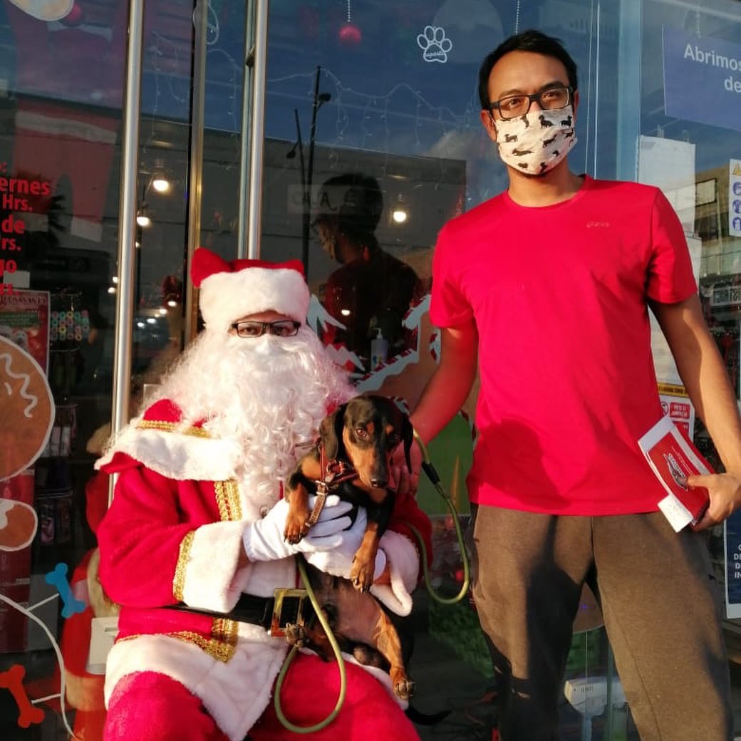Superrito - Así se vive la navidad en #superrito 🎄 ️🐶 Aún...