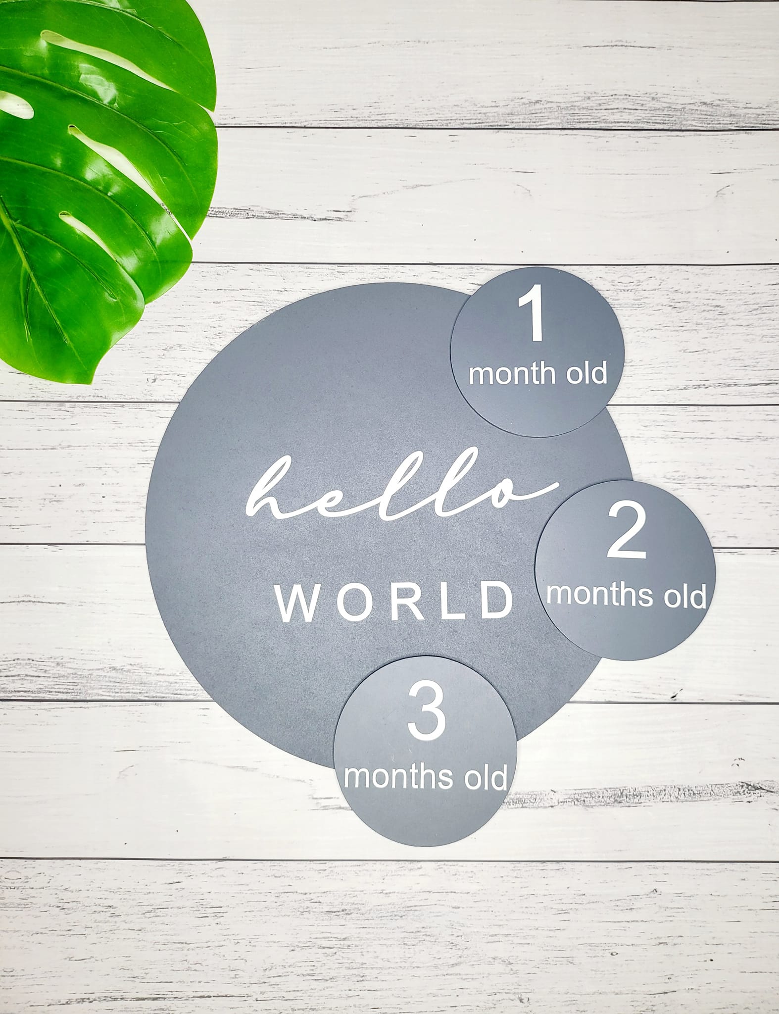 Ash Labels and Tags
