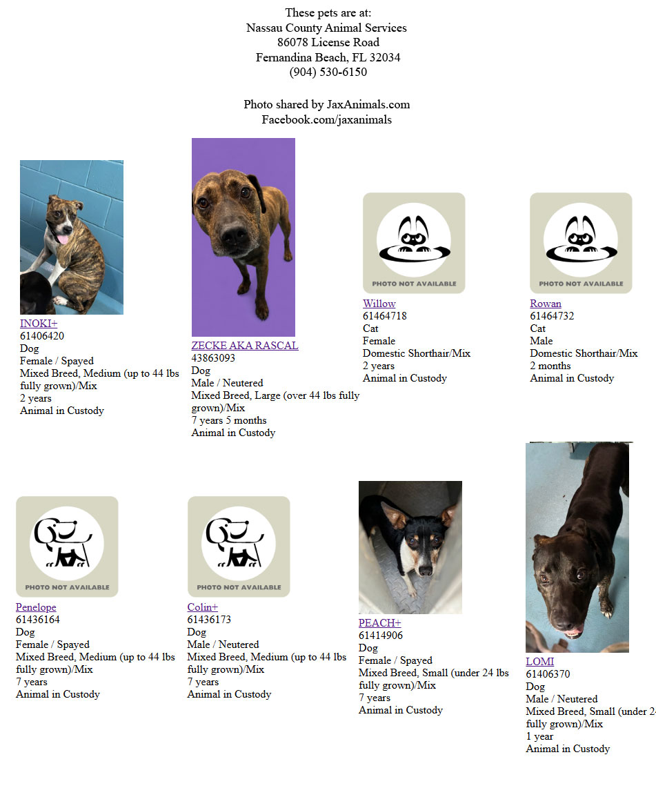 Lost - Some Recent Found and Stray Pets at Nassau County Animal