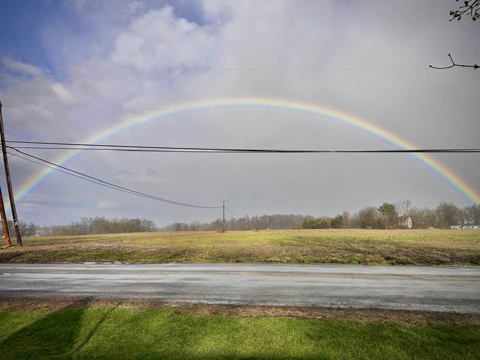Another lovely shot of Thursday evening's double rainbow, this one