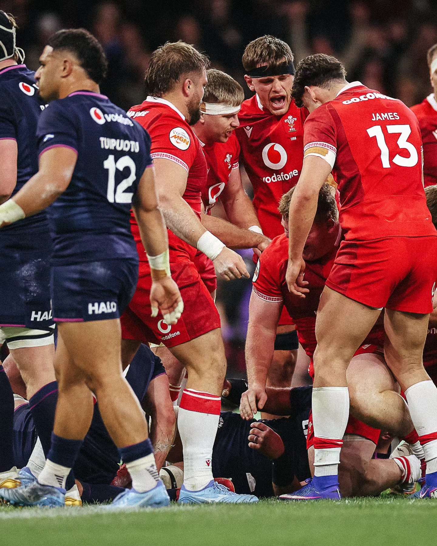 The best 📸 from an electric first... - The Welsh Rugby Union | Facebook