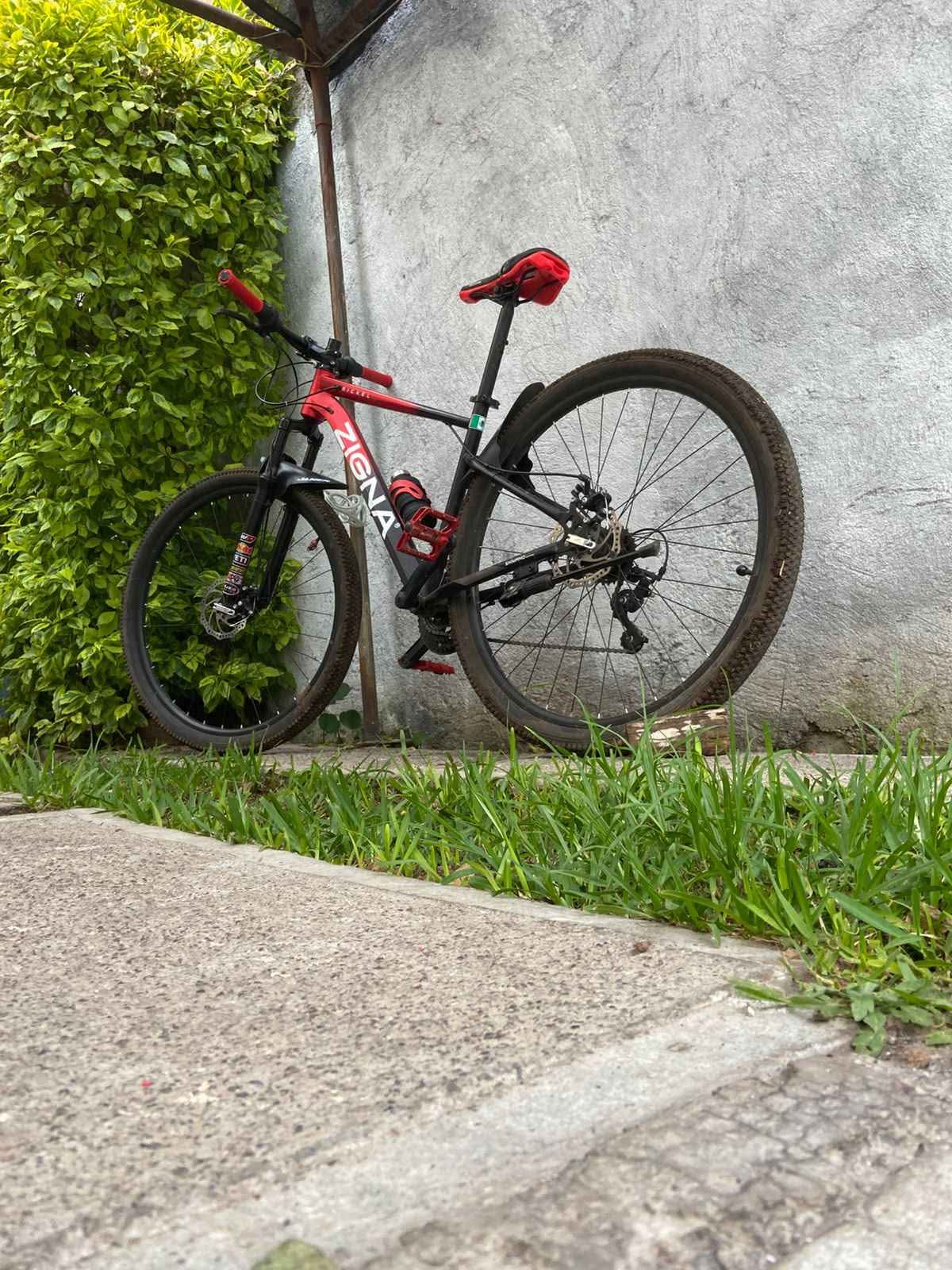 CAMBIO bicicleta Zigna nickel R29 - Bicycles - Morelia, Mexico ...
