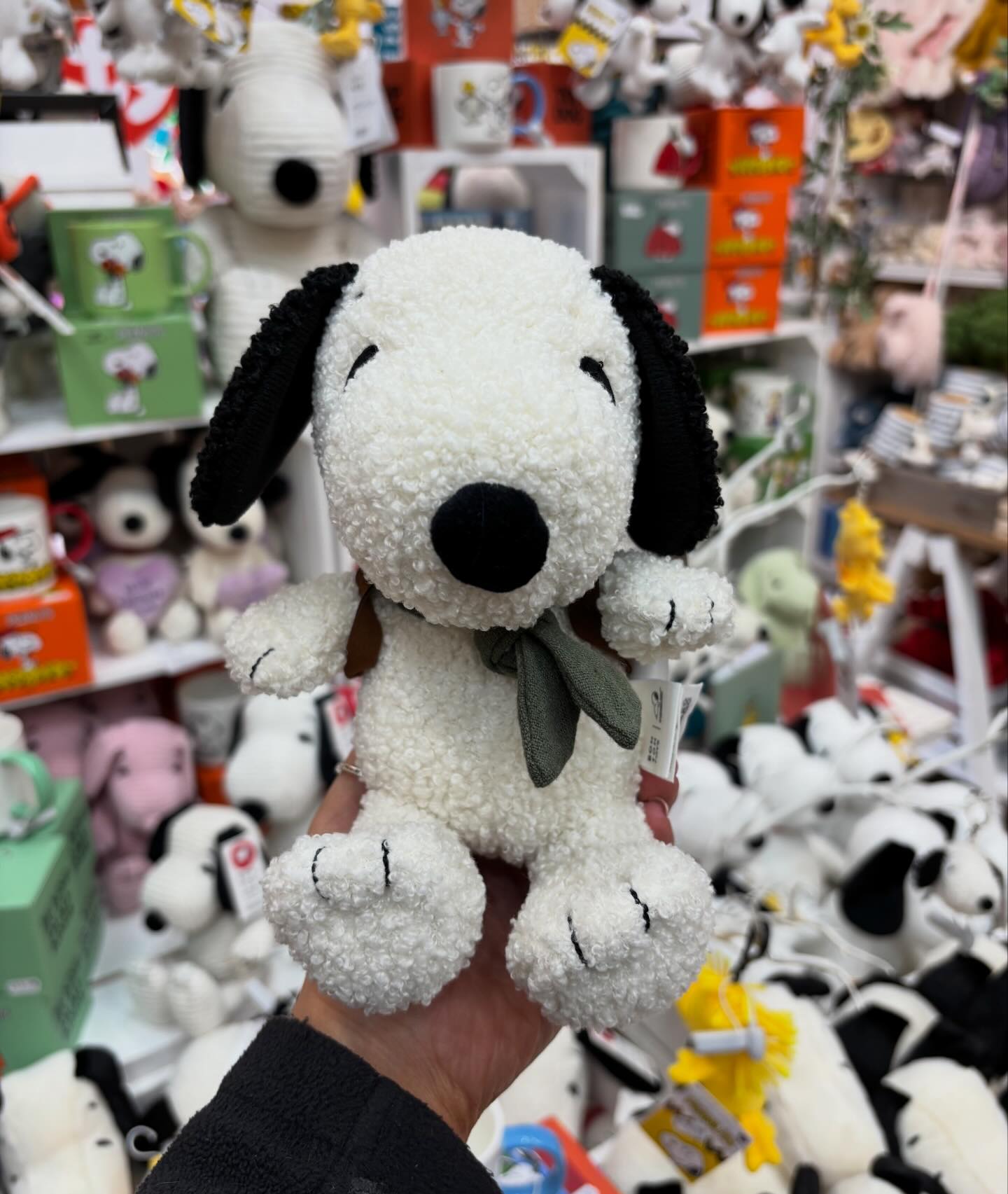 DJ Snoopy is in the house! 🎧🎶 We have a selection of brand new