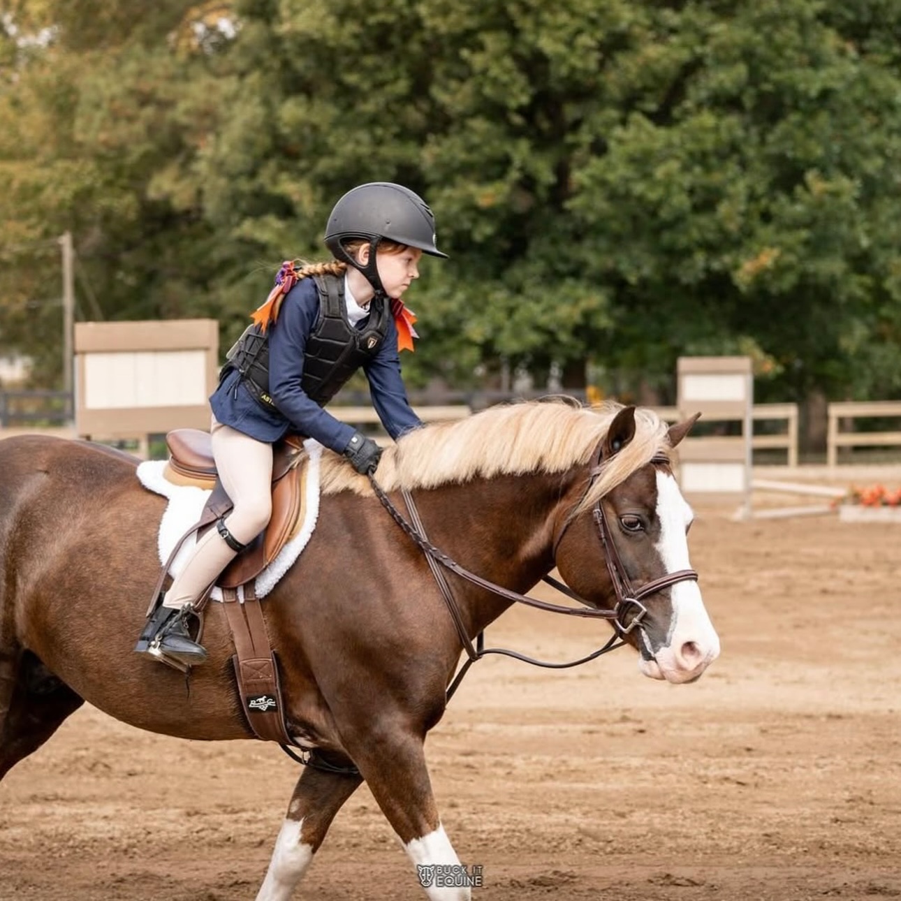 Falcon Ridge Stables | Woodstock GA