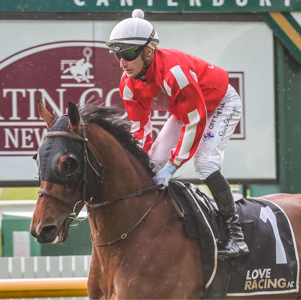 Pitman Racing Stables | Christchurch