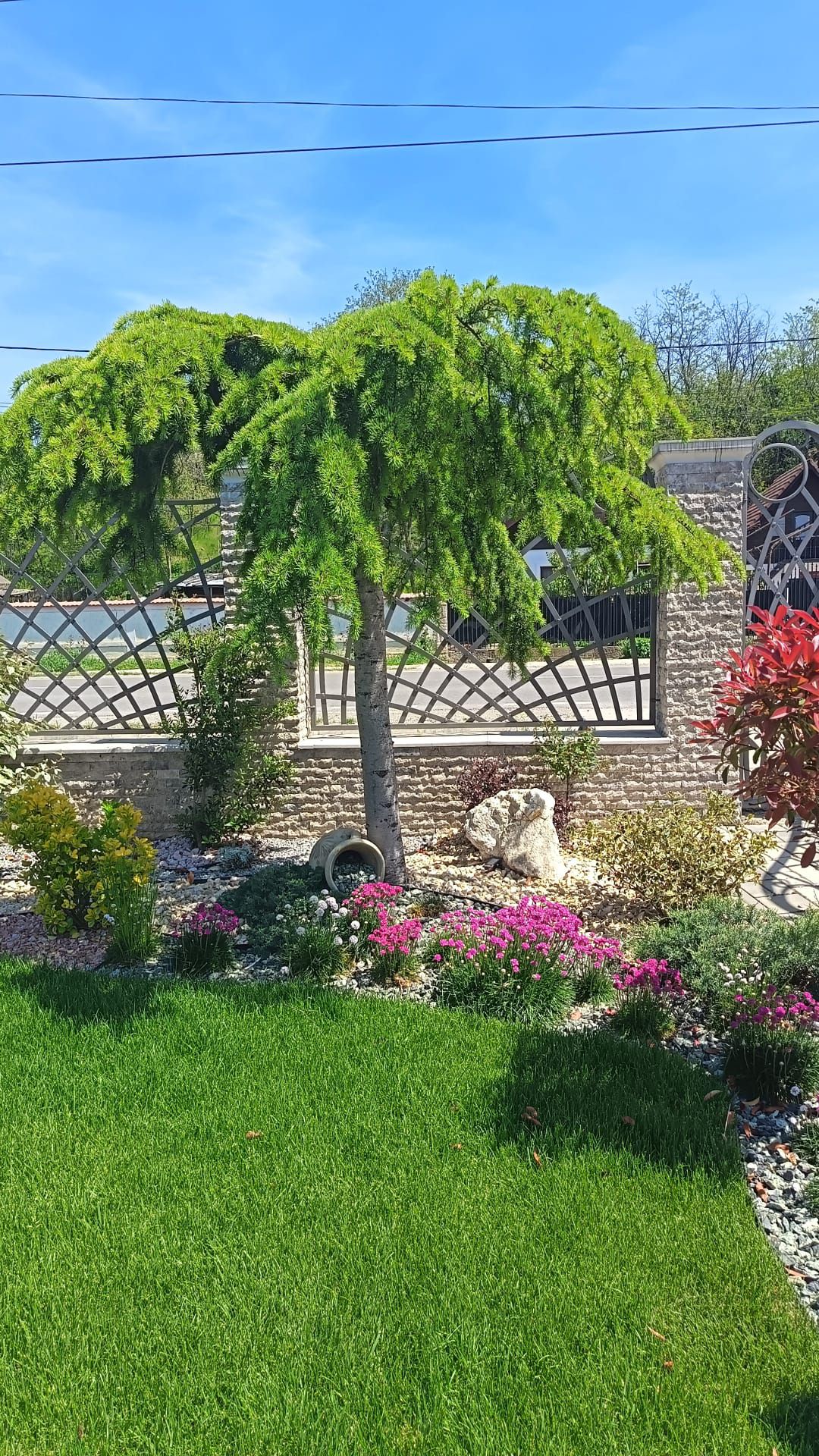 Home Love Garden | Buzau