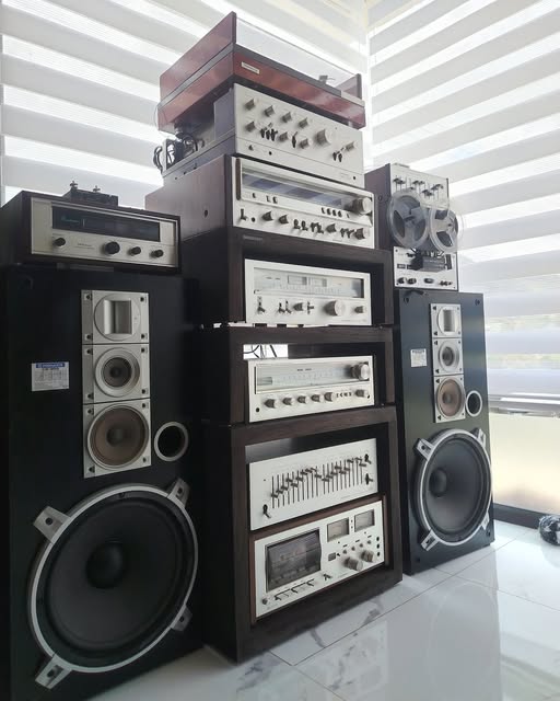 Pioneer (VINTAGE SOUND SYSTEM) 1546 品九事代様 竹蔵 ዲዲሊኒ え下