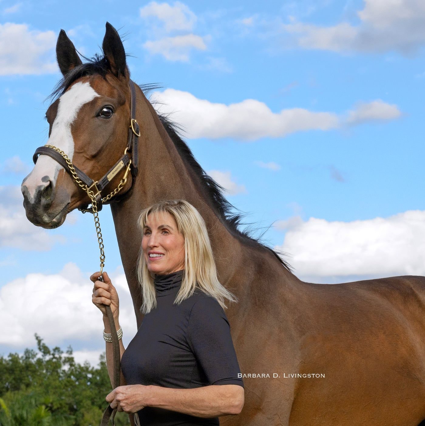 Equine Jobs of Southern New England | Hello, my name is Ruth Puterbaugh ...