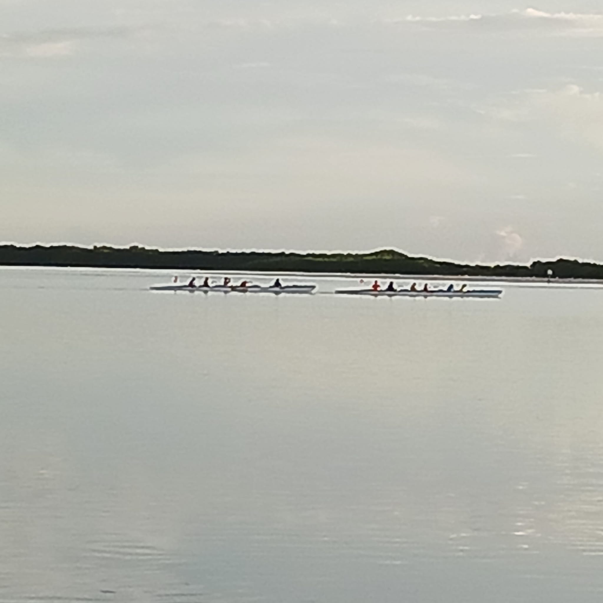 Dunedin Outrigger Canoe Club | Dunedin FL
