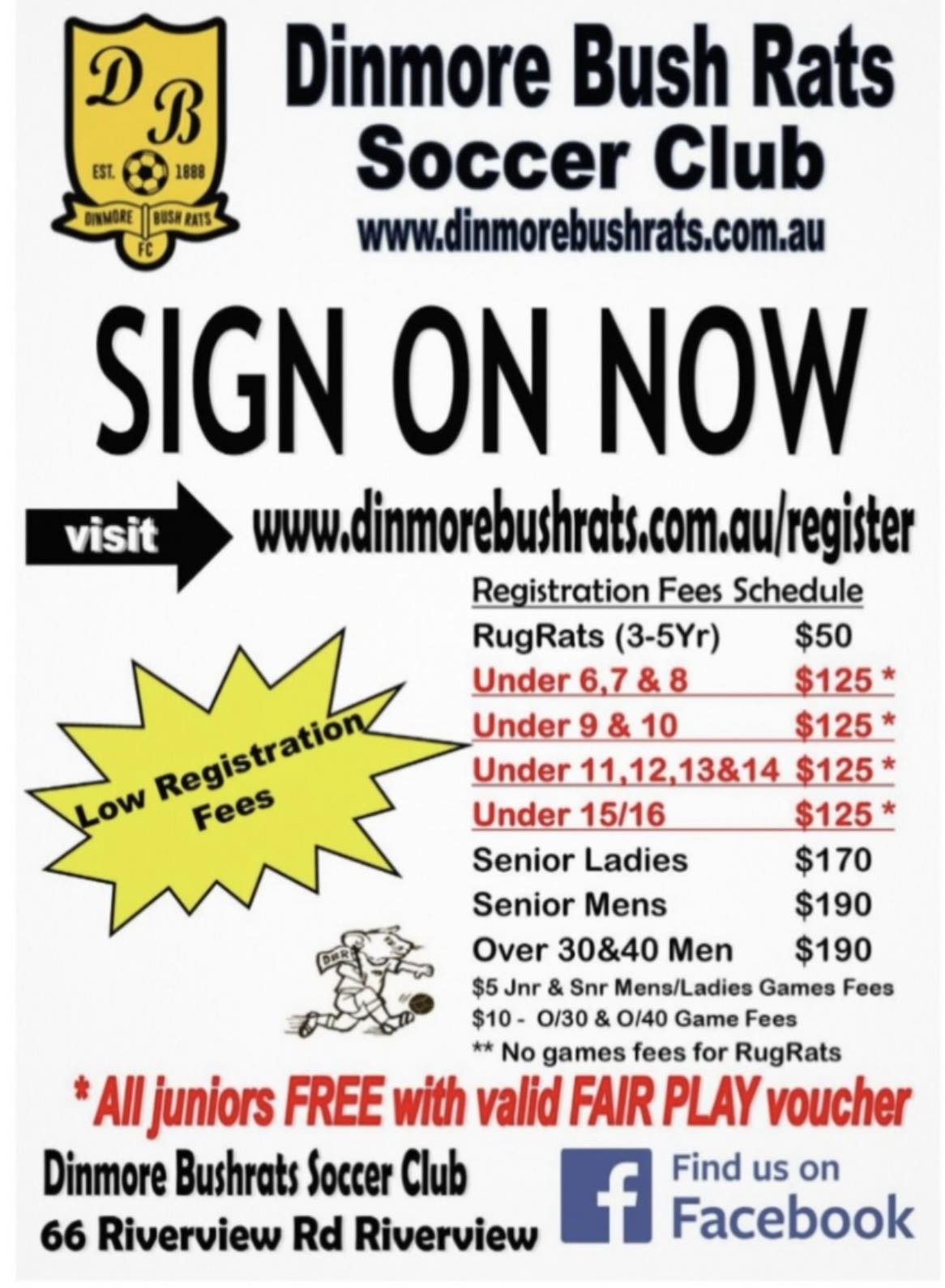 HAPPY NEW YEAR BUSH RATS... - Dinmore Bush Rats Soccer Club | Facebook
