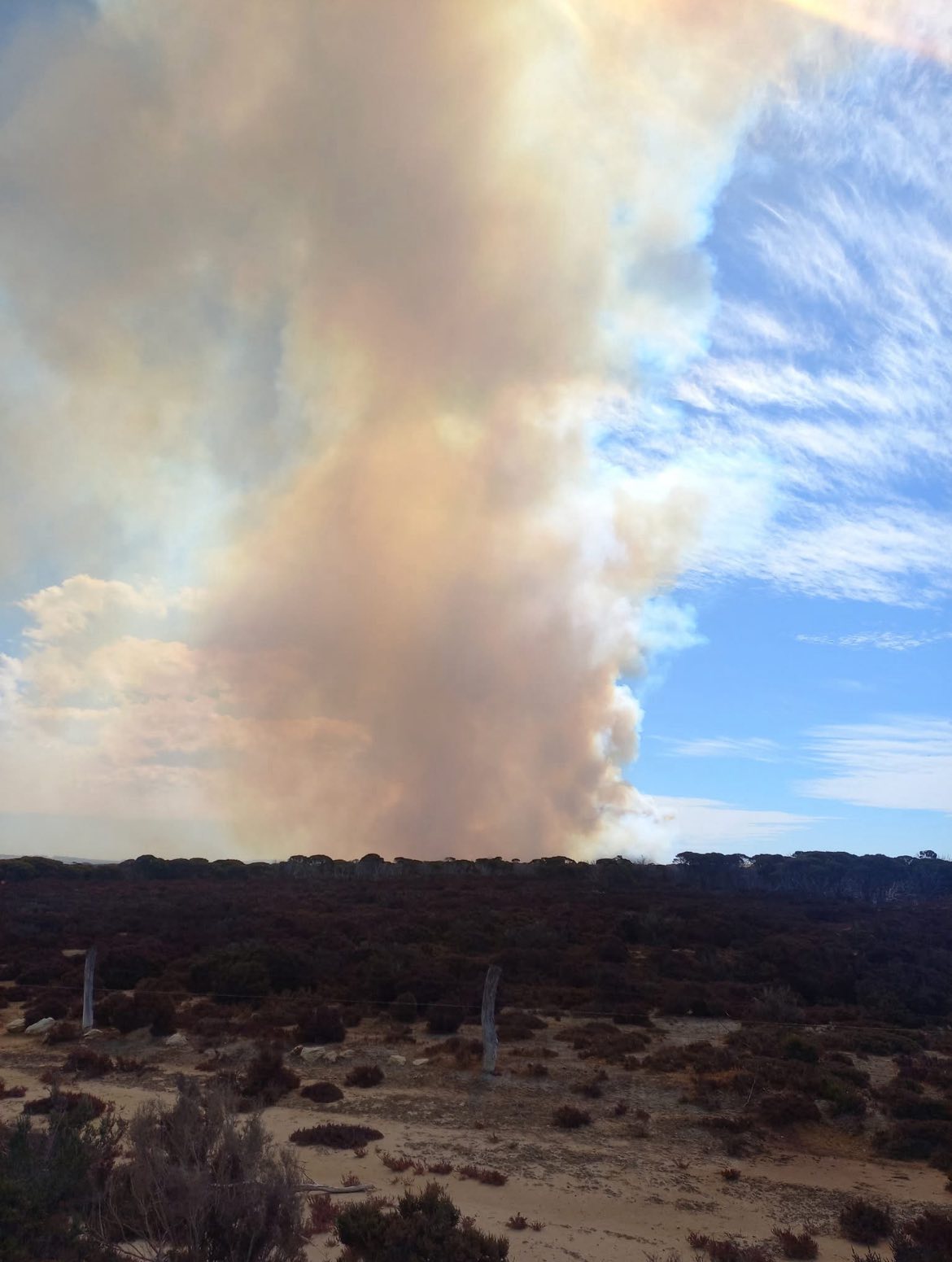 CFS Foundation - The Ash Wednesday bushfires, known in South Australia ...