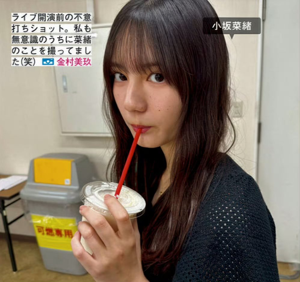 日向撮 #櫻撮