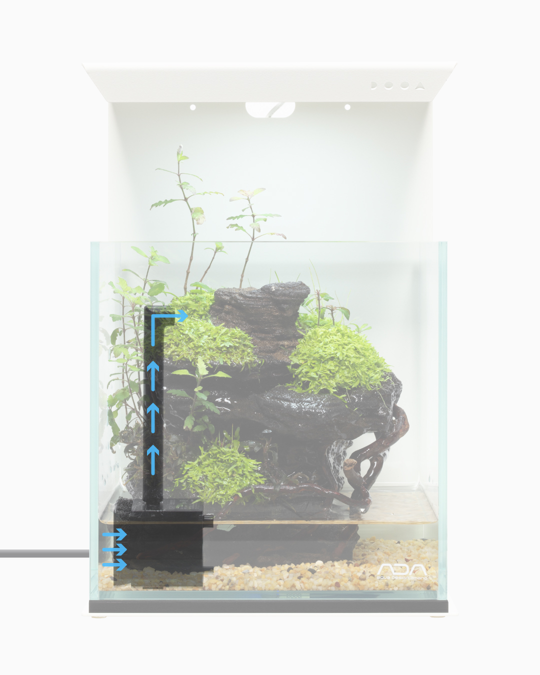 ADA Nature Aquarium - Aqua Design Amano Co., Ltd (@AquaDesignAmano