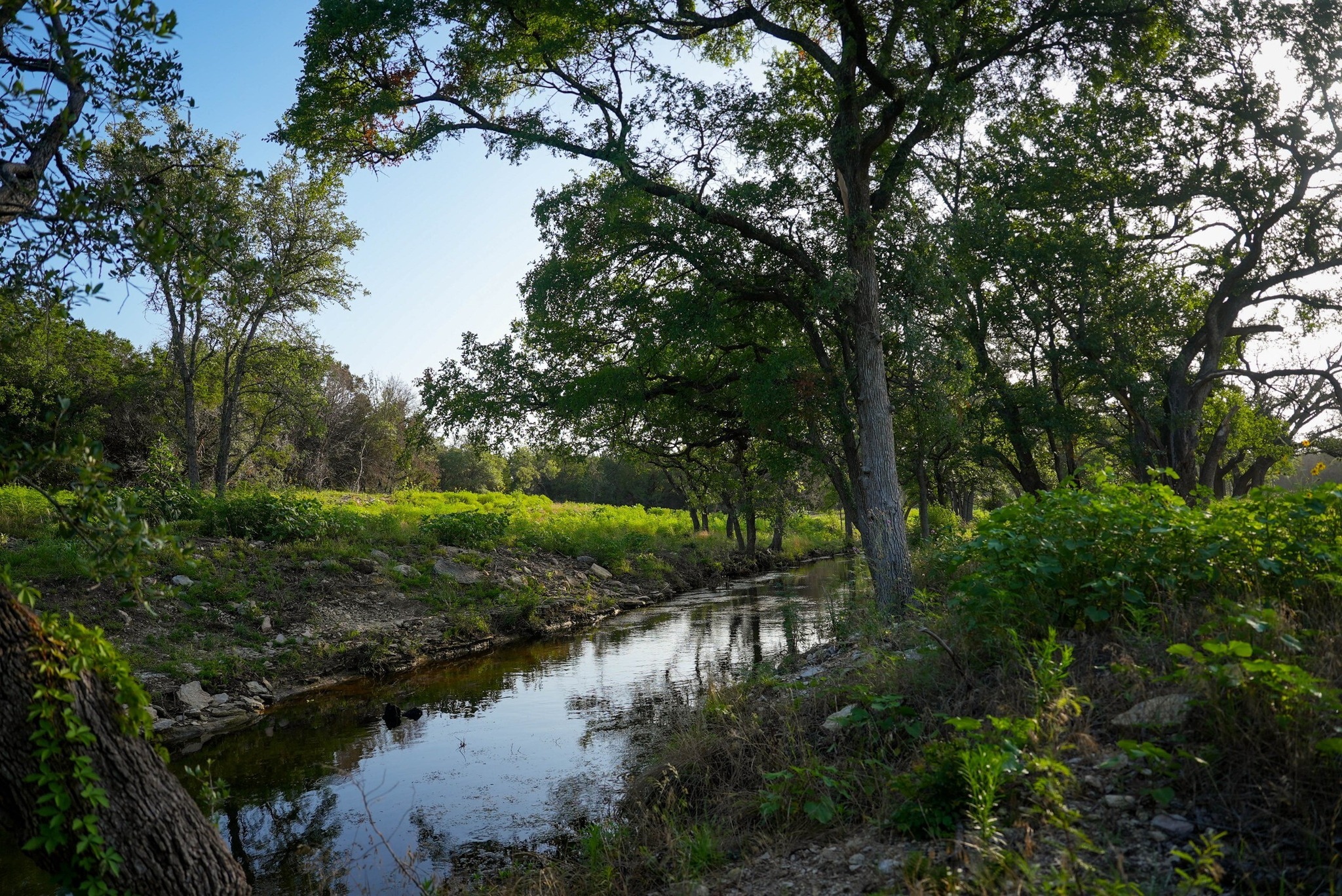 Texas - NEW LISTING ⎮ Cinco Lakes Ranch ⎮ 771± Acres Cinco Lakes Ranch ...