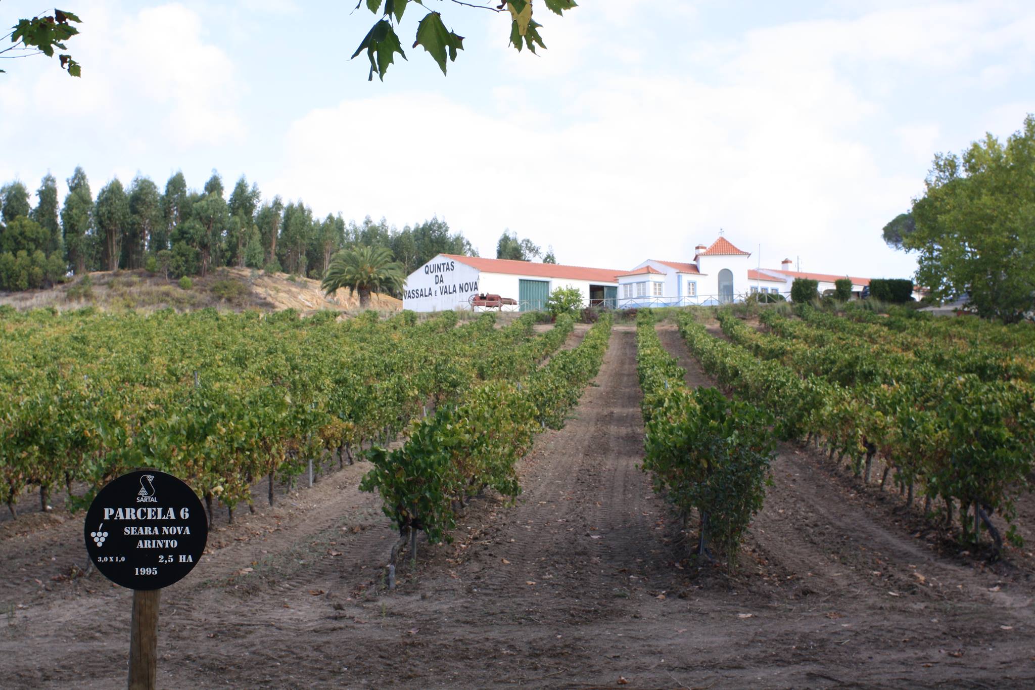 Quinta da Vassala