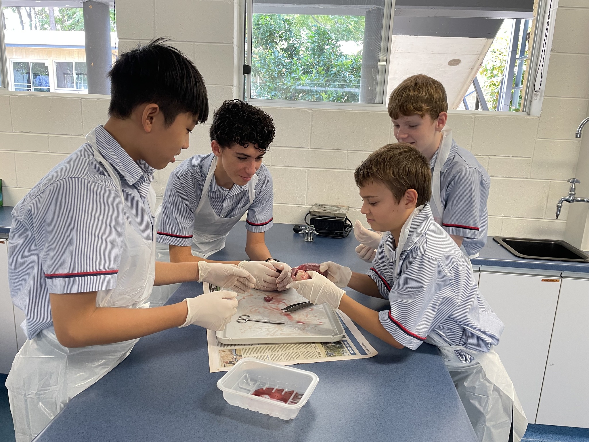 🫀 Year 8 Scientists in... - Caloundra Christian College | Facebook