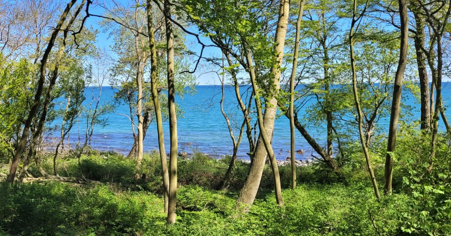 camping wschestnder Camping Wschespinne Wschestnder 4-Arm