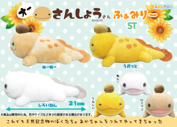 株式会社アミューズ - ≪2月の新商品 / New products in February