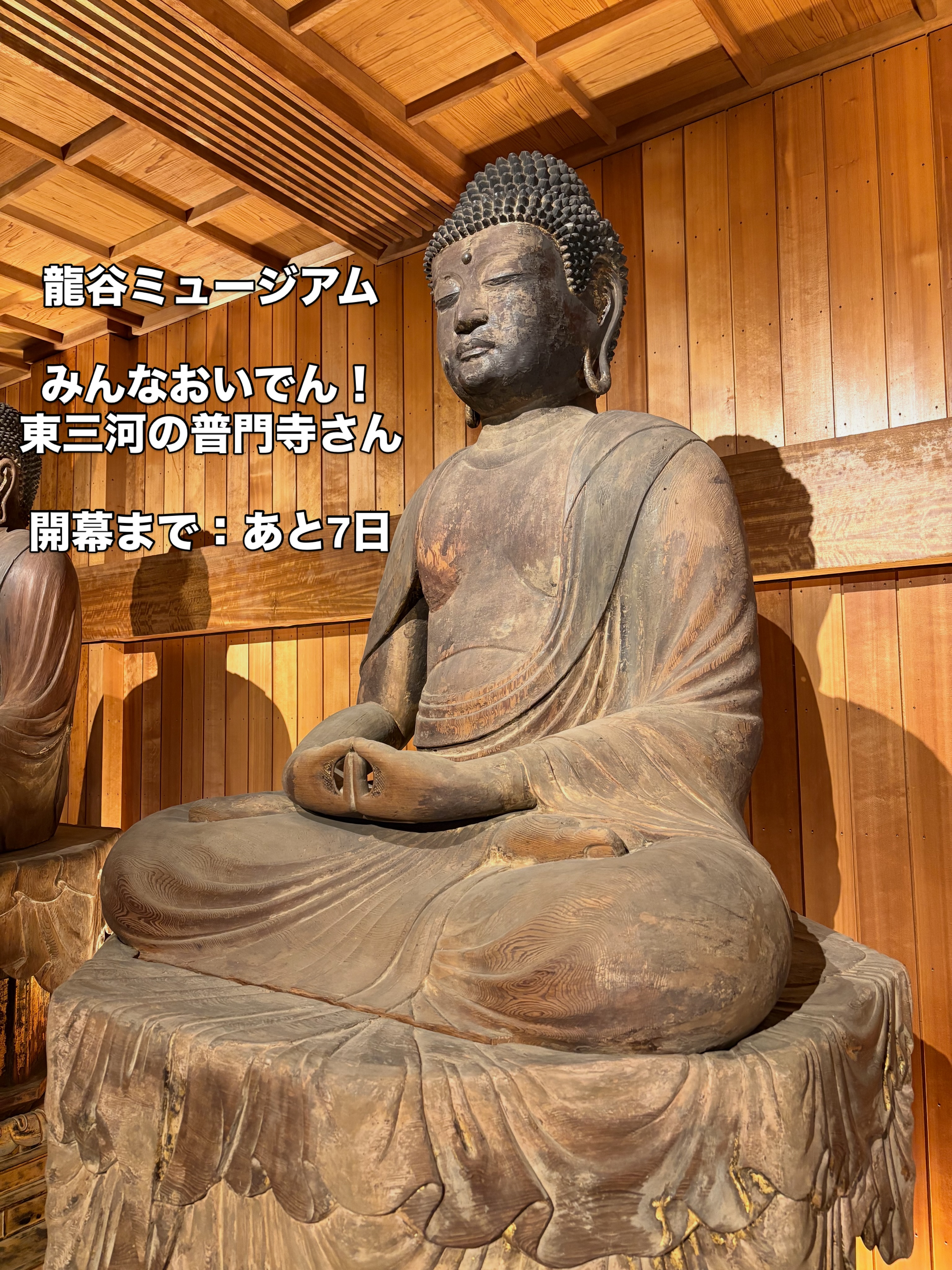 第55世 普門寺住職 辞令伝達】 高野山真言宗管長 大僧正 葛西光義猊下