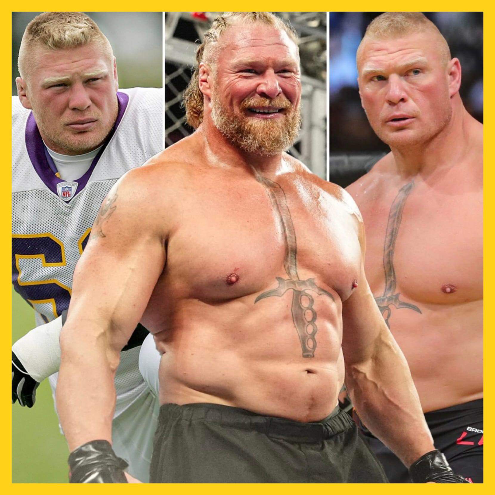 Back in 2004, pro wrestler Brock Lesnar left the WWE to try out