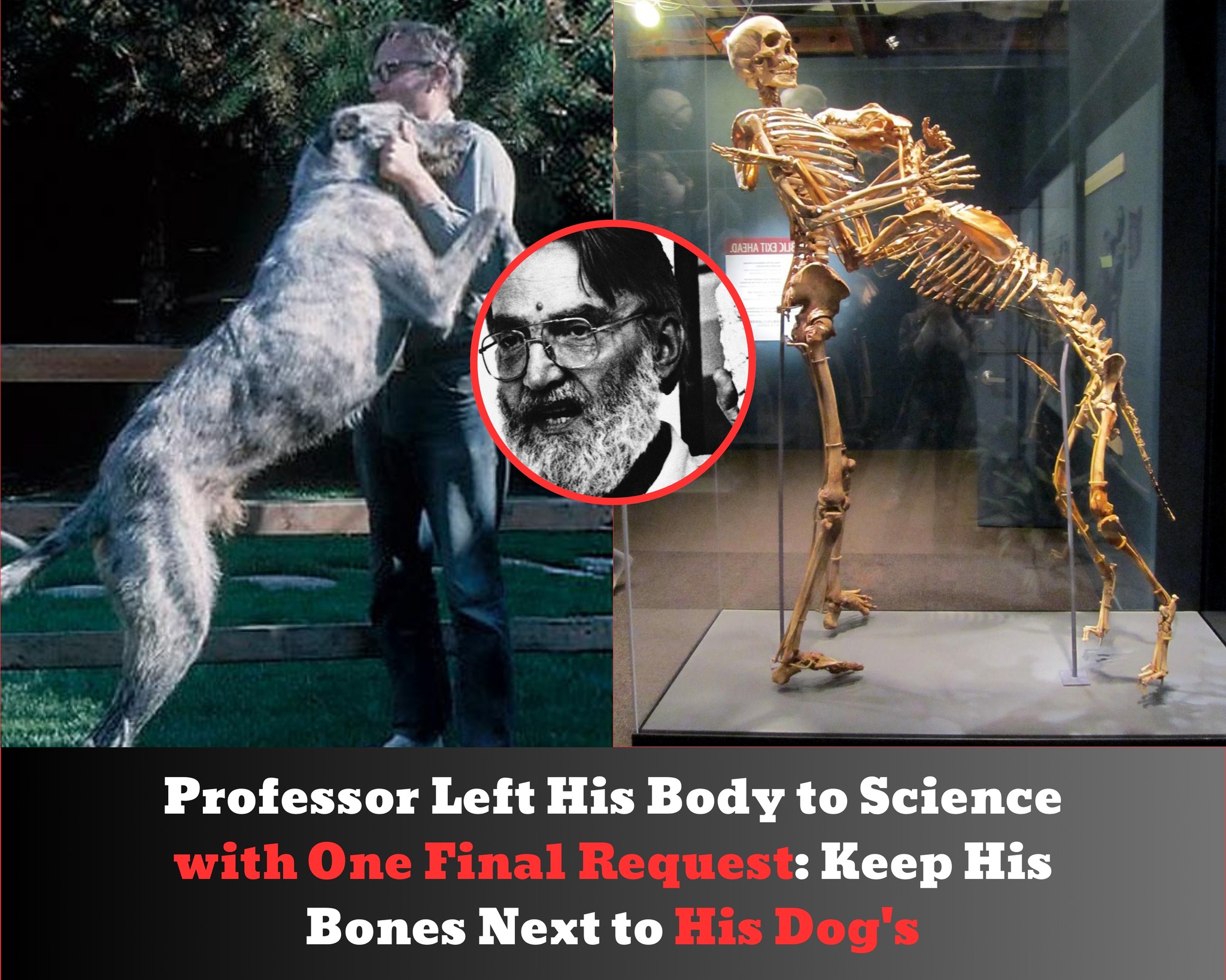 Grover Krantz, Bigfoot expert and WSU professor