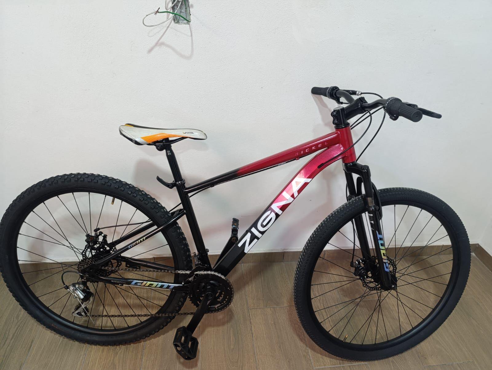 Bicicleta zigna nickel rodada 29 - Bicycles - Chimalhuacán | Facebook ...