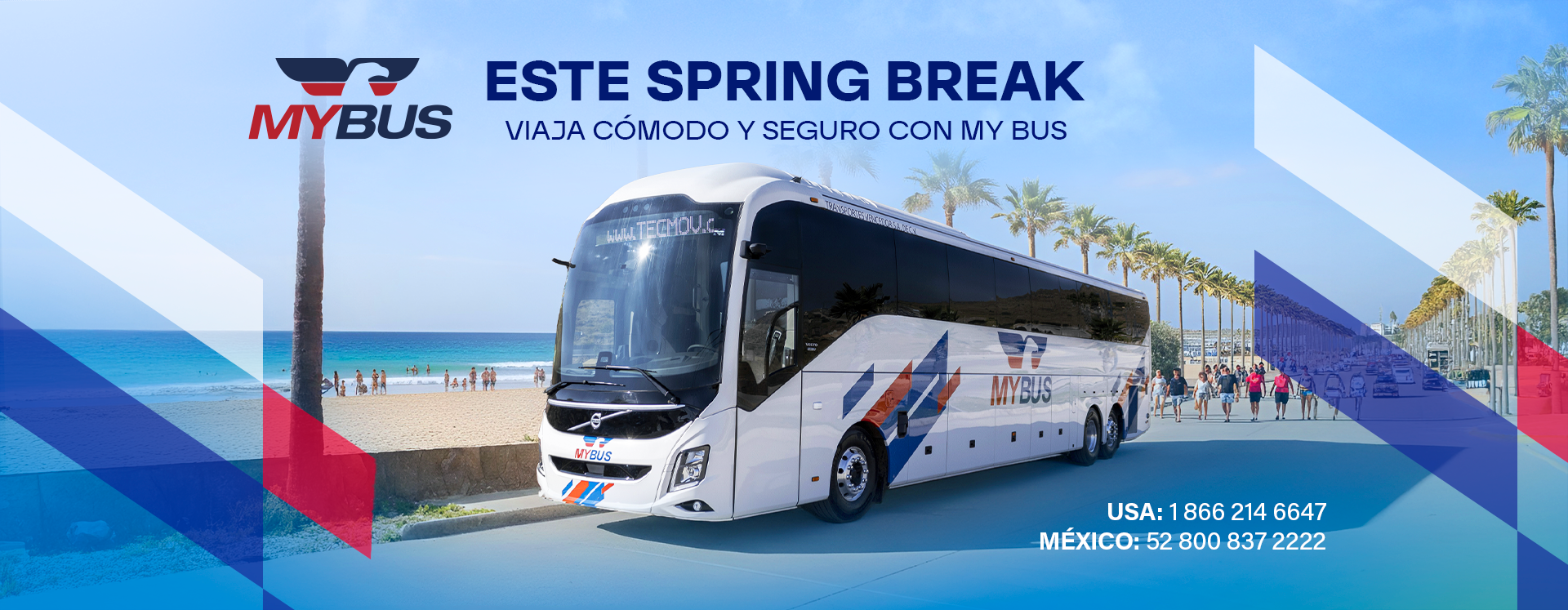 My Bus - 🚌 ¡Viaja cómodo y con estilo de Rioverde a... | Facebook
