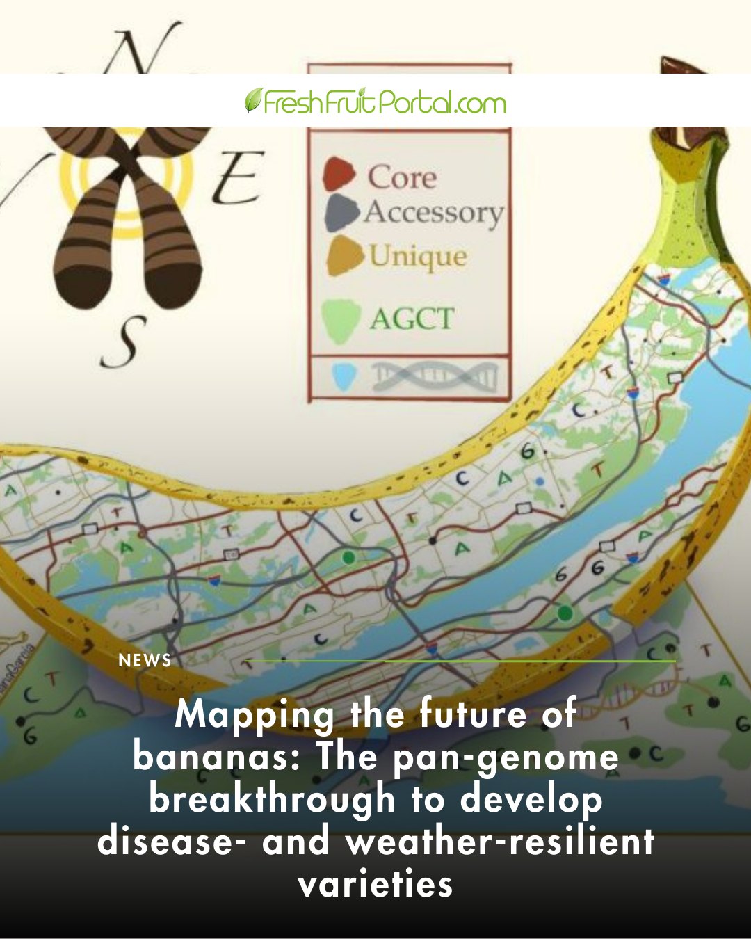 Fresh - 🍌🔬 A new genomic map for the future of bananas Chiquita ...