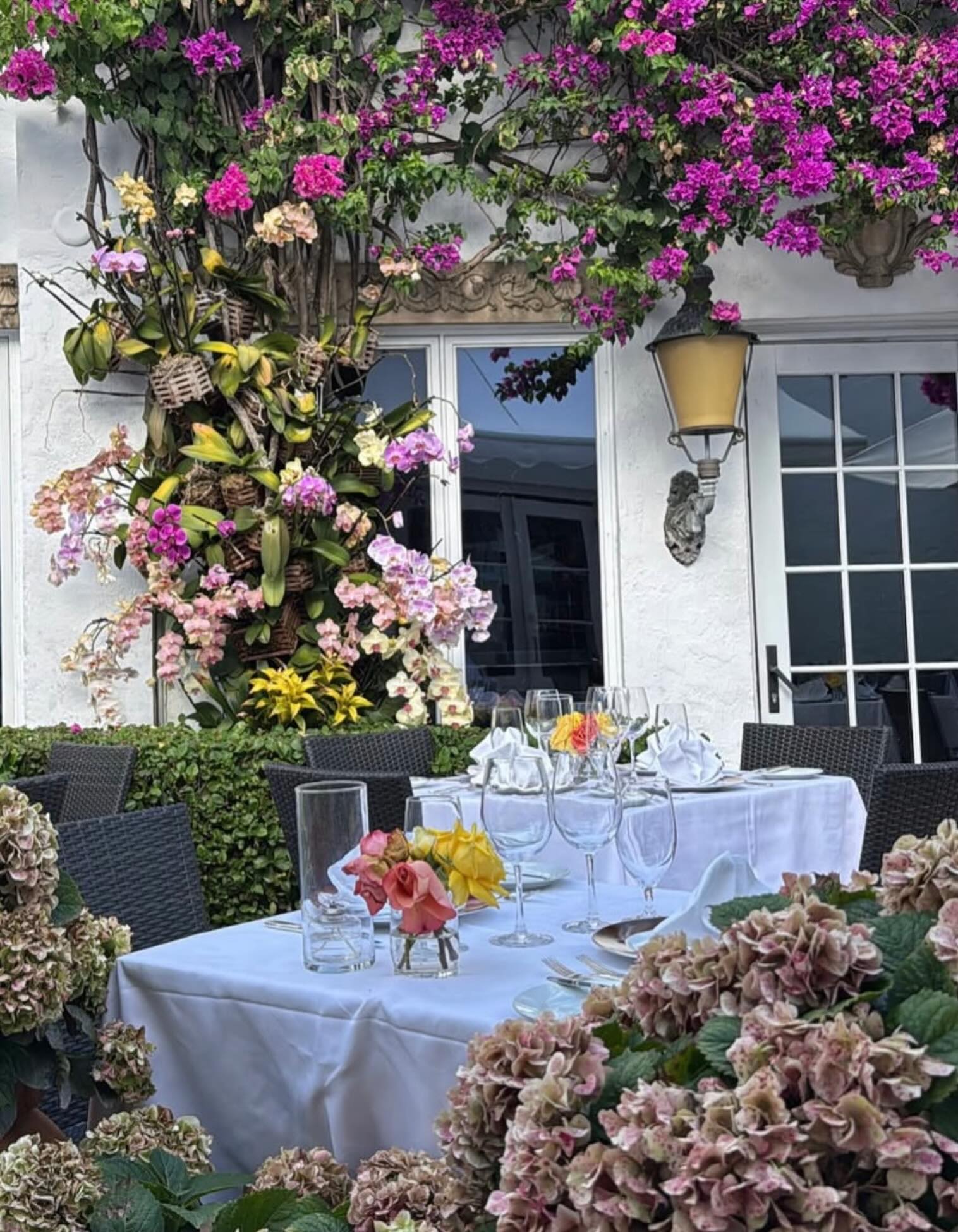 renatos palm beach dress code Alfresco dining at Renato's in renato's fredericksburg