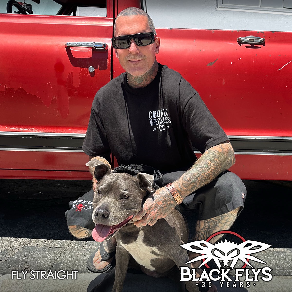 Black Flys | Santa Ana CA