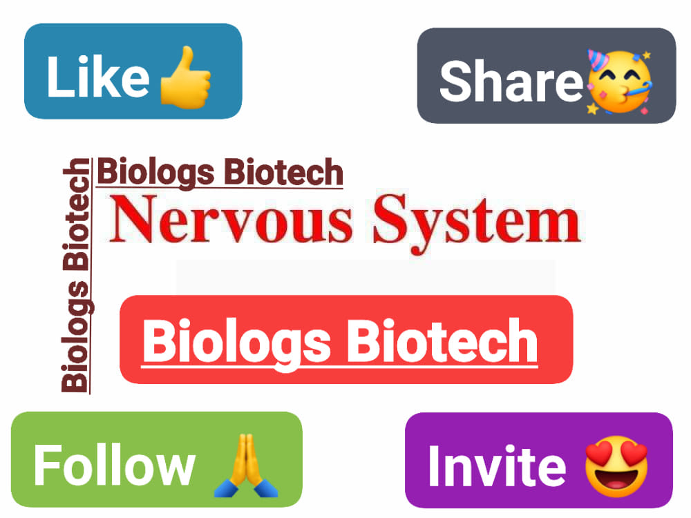 Dr. MBBS | Quetta