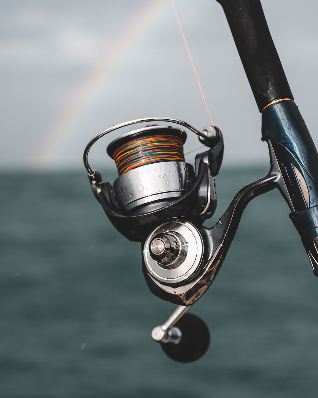 Daiwa - TD Zillion J Dream 6.3R-JD - the very last production ever