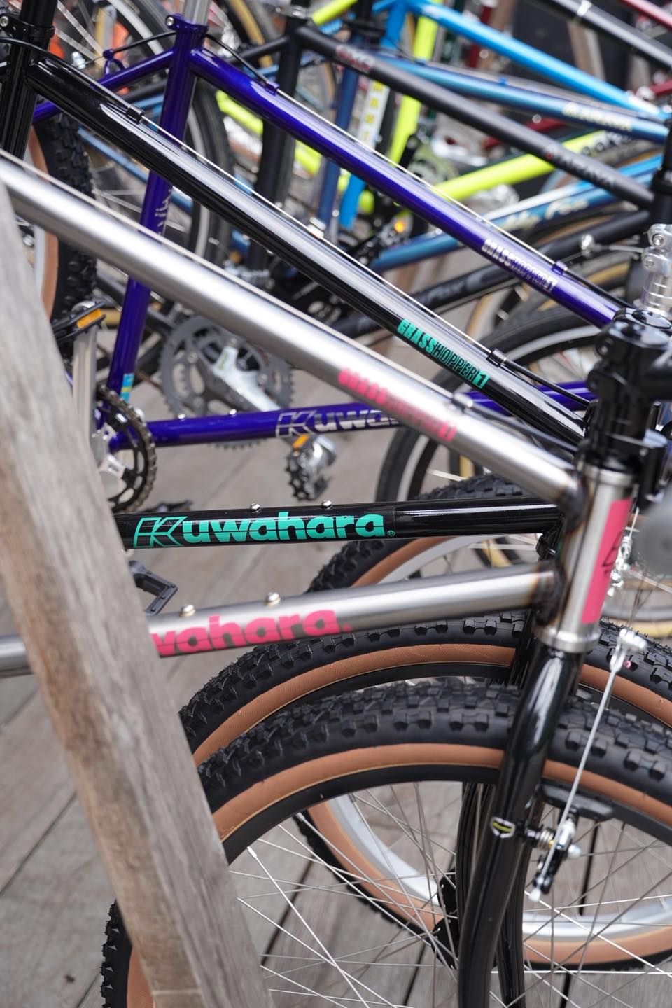 KUWAHARA - GRASSHOPPER #familybikeshop #kuwahara