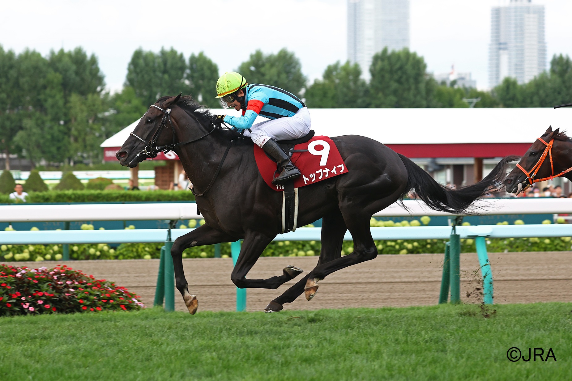 JRA（日本中央競馬会） - 2002年のシンザン記念(GIII)優勝馬