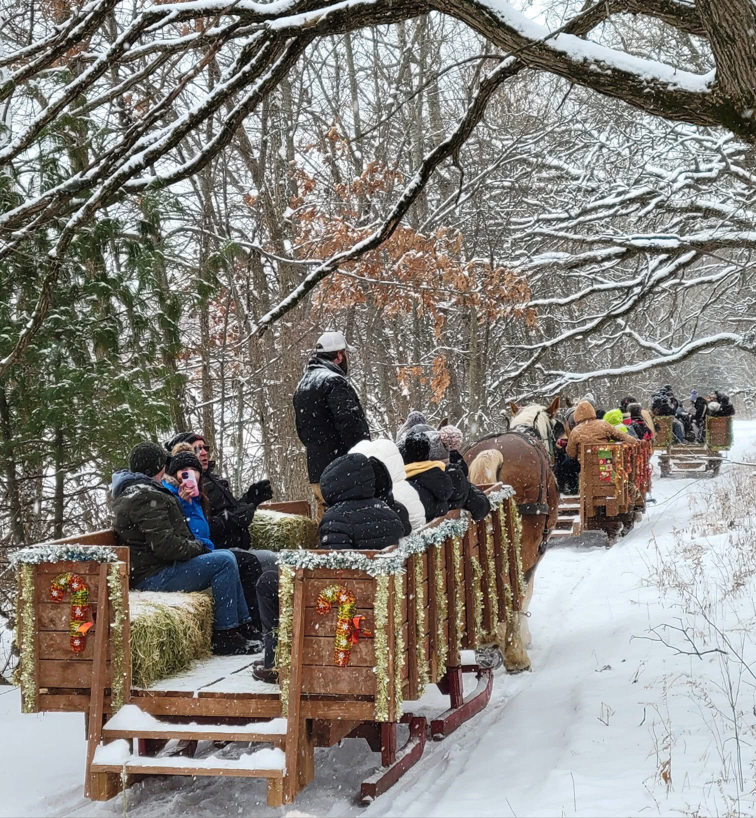 Red Ridge Ranch Riding Stable | Mauston WI