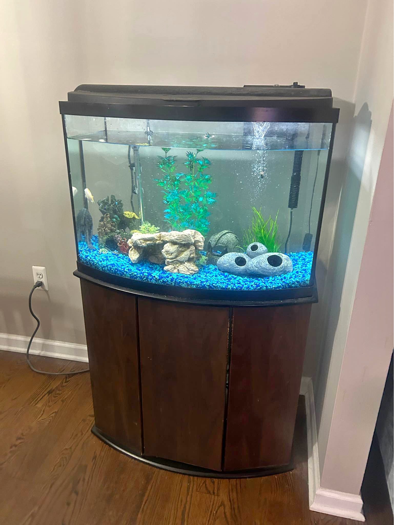 36 Gallon Fish Tank