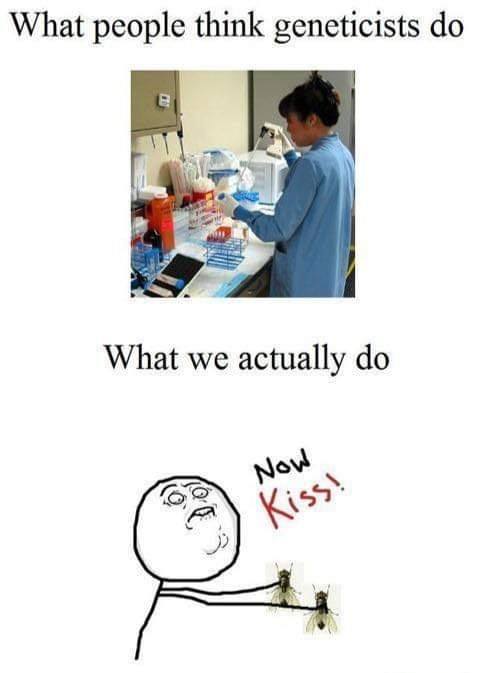 Biomedical Science Memes