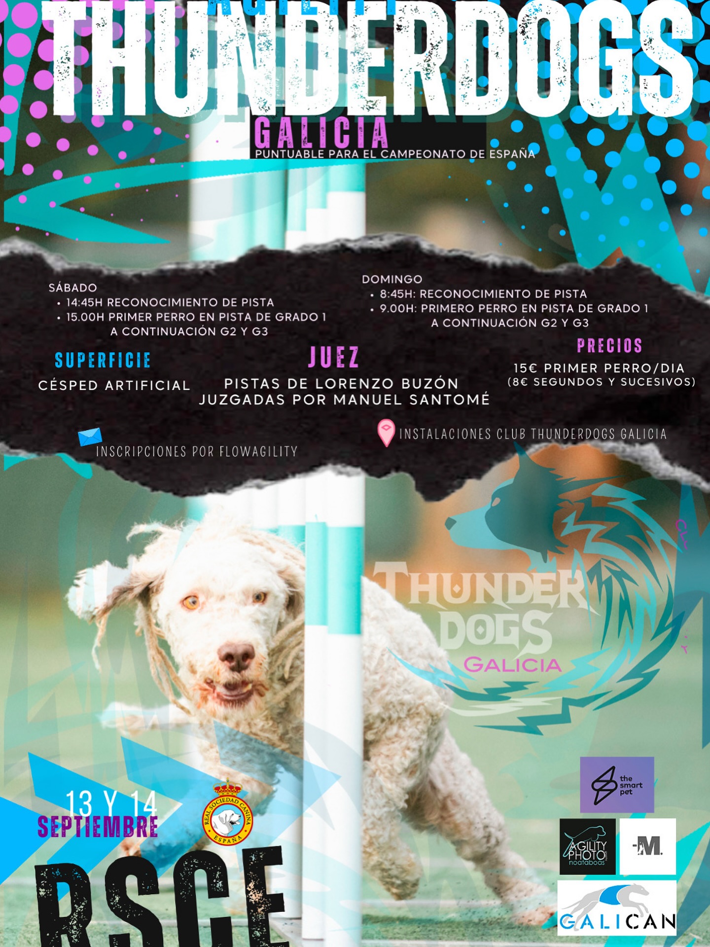 Club de Agility Thunderdogs Galicia | Borbén