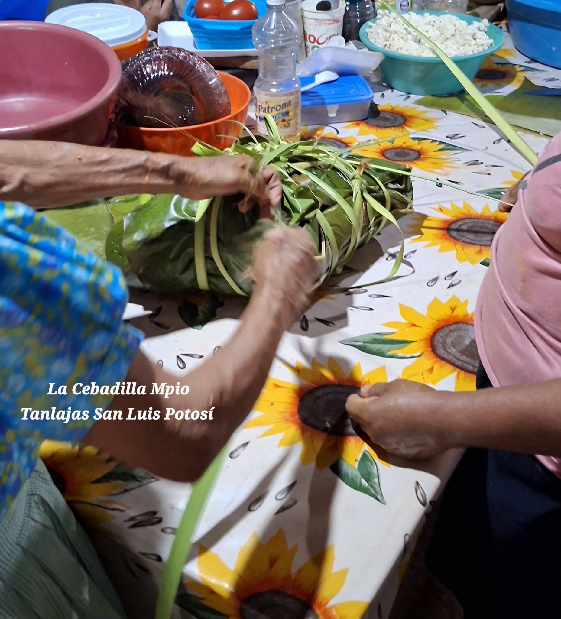 La Cebadilla Mpio Tanlajas San Luis Potosi Mexico