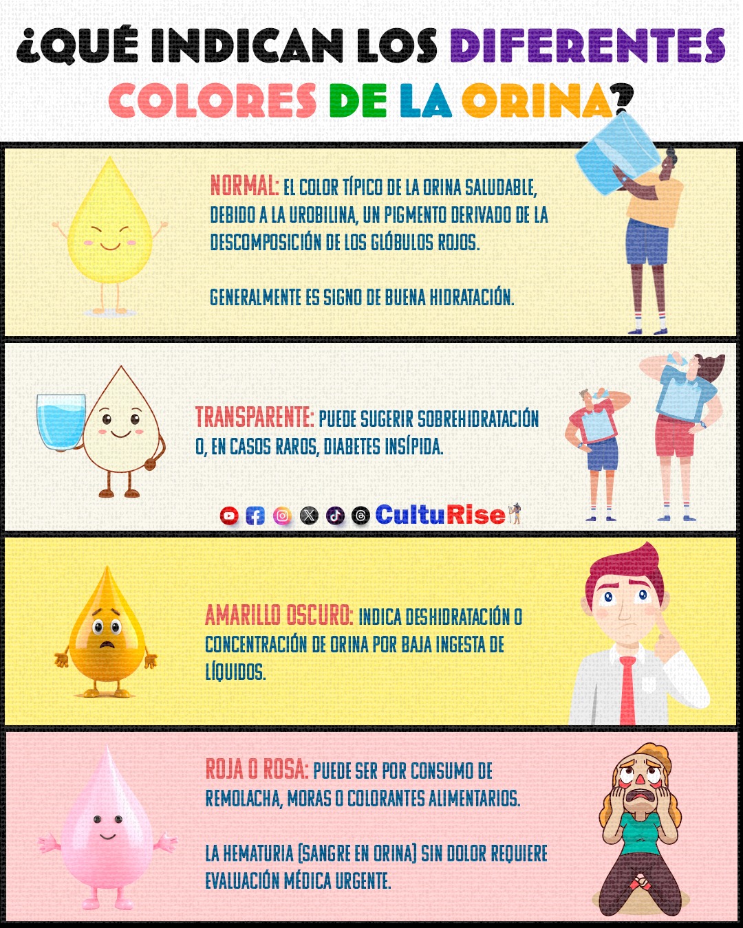 CultuRise - Curiosidades del Ser Humano #salud #health #humano #culture ...