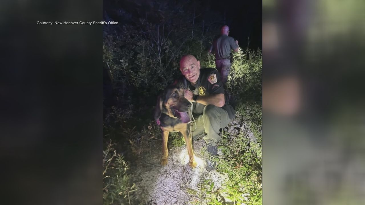WWAY - As the search for Nancy Guthrie continues in Arizona, here in ...