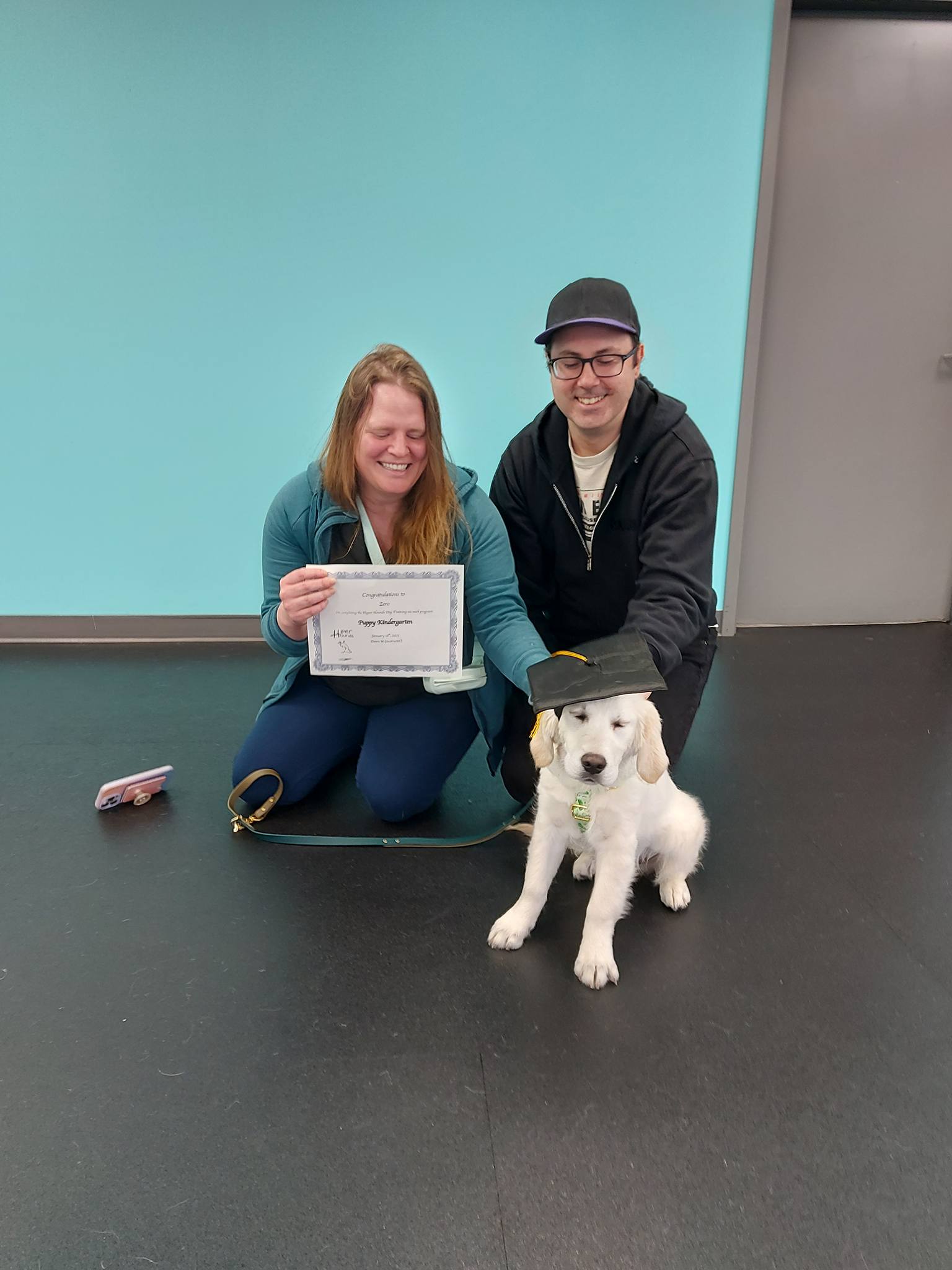 Hyper Hounds Dog Training | Calgary AB