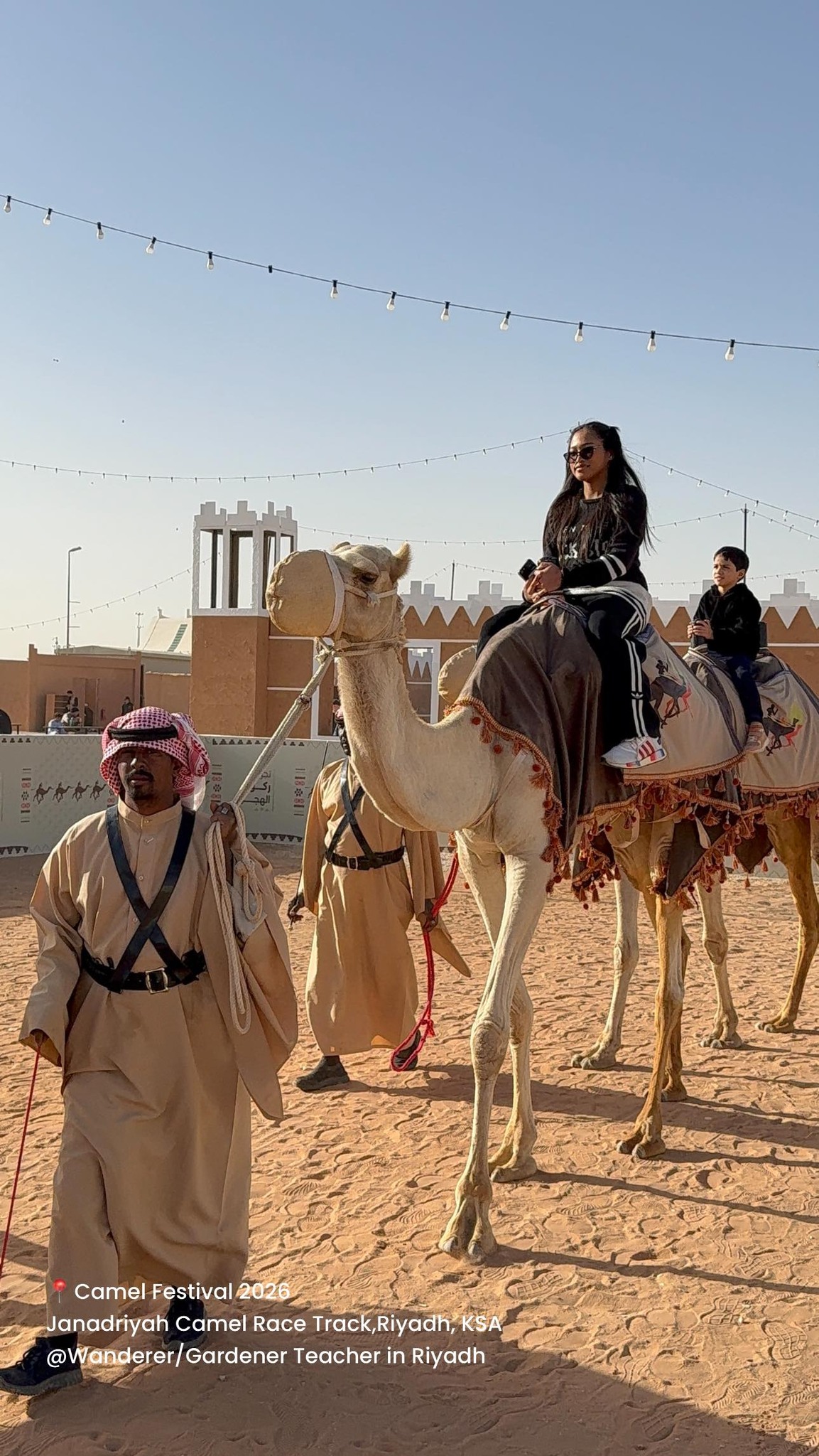 Wanderer/Gardener - 🎪🐪🐫Camel Festival 2026 🎟️6sr @webook January 23-31 ...