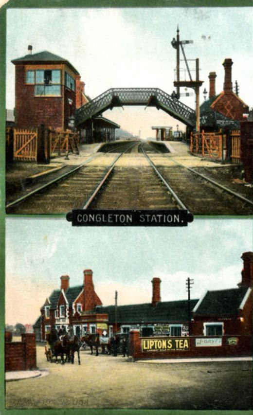 Congleton Museum - The Queen comes to Congleton! Carnival and Charter ...